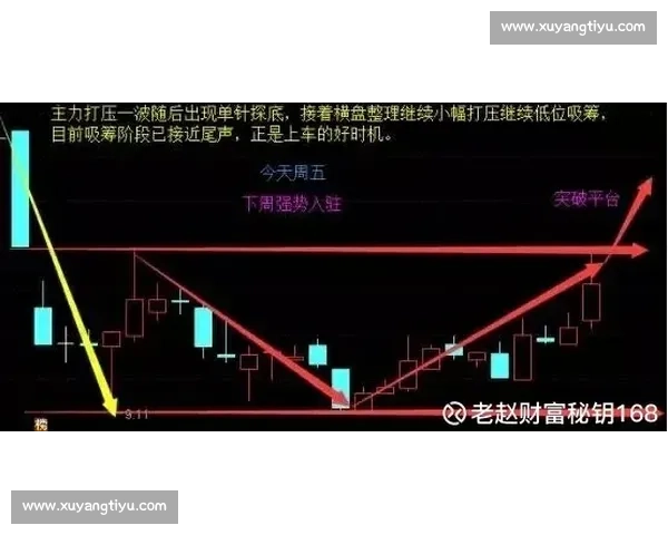 丹麦对阵波兰赛前全景解析阵容状态与关键胜负手深度观察 丹麦对阵波兰赛前全景解析阵容状态与关键胜负手深度观察